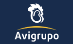 AVIGRUPO-MEXICO